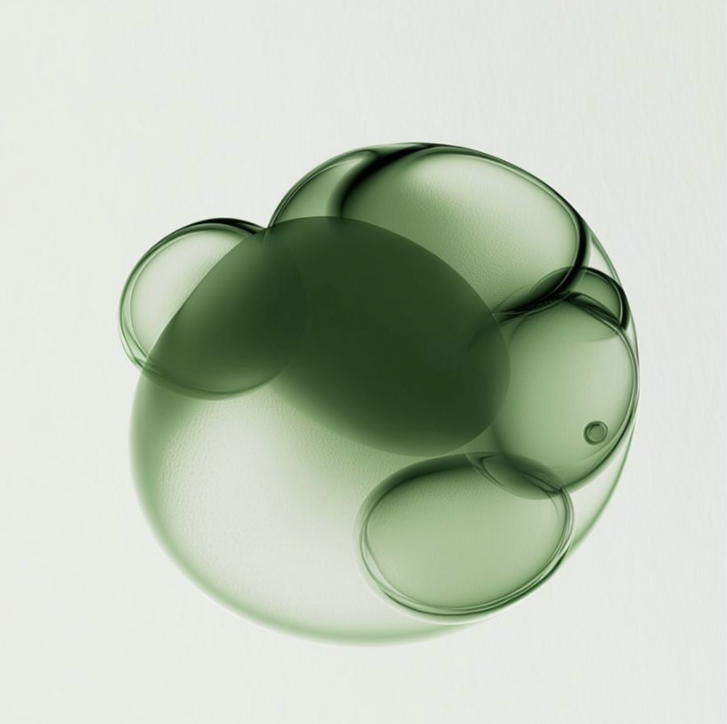 METABOLIC DETOX